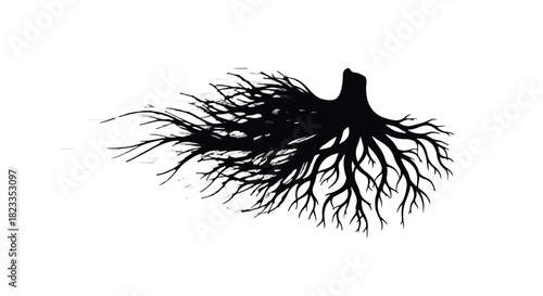 Intricate tree roots spreading outwards with a sense of growth and organic connection on a white background
