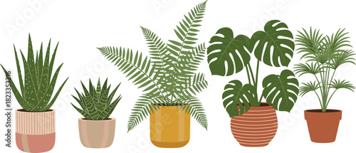 Potted plant illustration set, indoor greenery, aloe, succulent, fern, monstera, palm, decorative pots, botanical theme, vector artwork