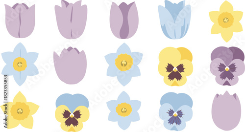 Collection of various colorful spring flowers in bloom showcasing a variety of petals and hues.