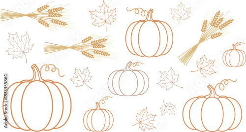 Autumn Harvest Pumpkins Wheat and Leaves Outline Illustration.