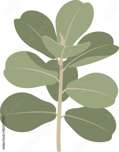 Vibrant green plant with lush leaves and a sturdy stem.