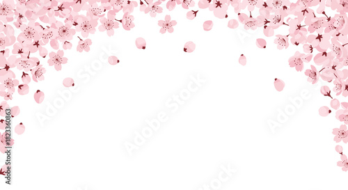 Beautiful arched frame of pink cherry blossoms with falling petals, creating a decorative border on a clean white background.