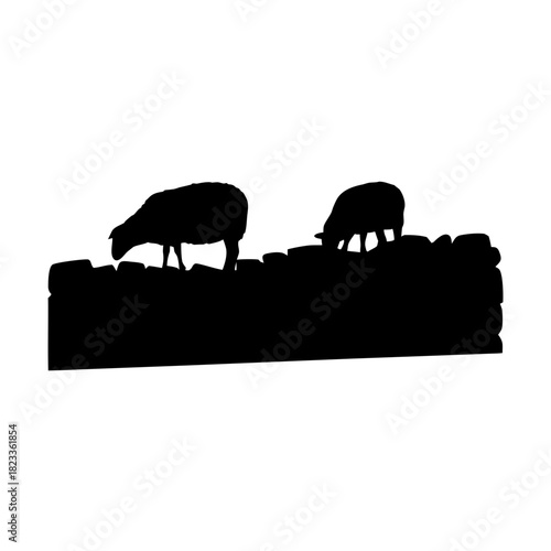 Two sheep grazing over a stone wall silhouette