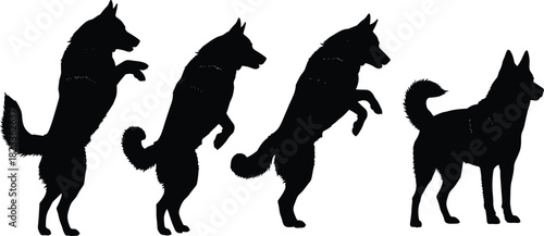 Dog movement silhouette sequence, jumping and standing poses, black on white, canine behavior icon