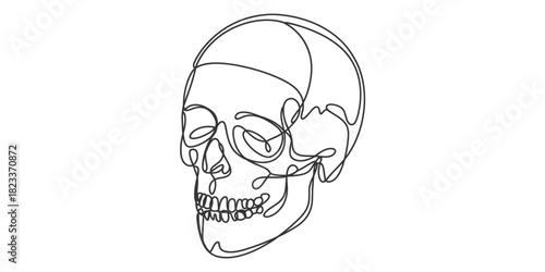 Minimalist continuous line art drawing of a human skull in profile, symbolizing anatomy, mortality, and artistic expression with elegant simplicity. Vector, illustration