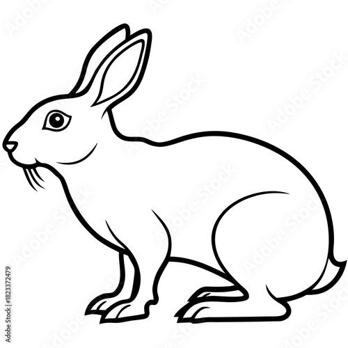 Outline illustration of rabbit