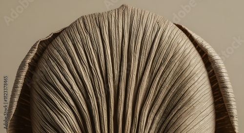 Extreme close up detail of organic brown mushroom gills showing intricate line pattern and texture
