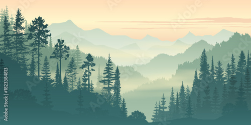 Sunrise in the mountains, wild forest, misty silhouettes of ridges, vector illustration
