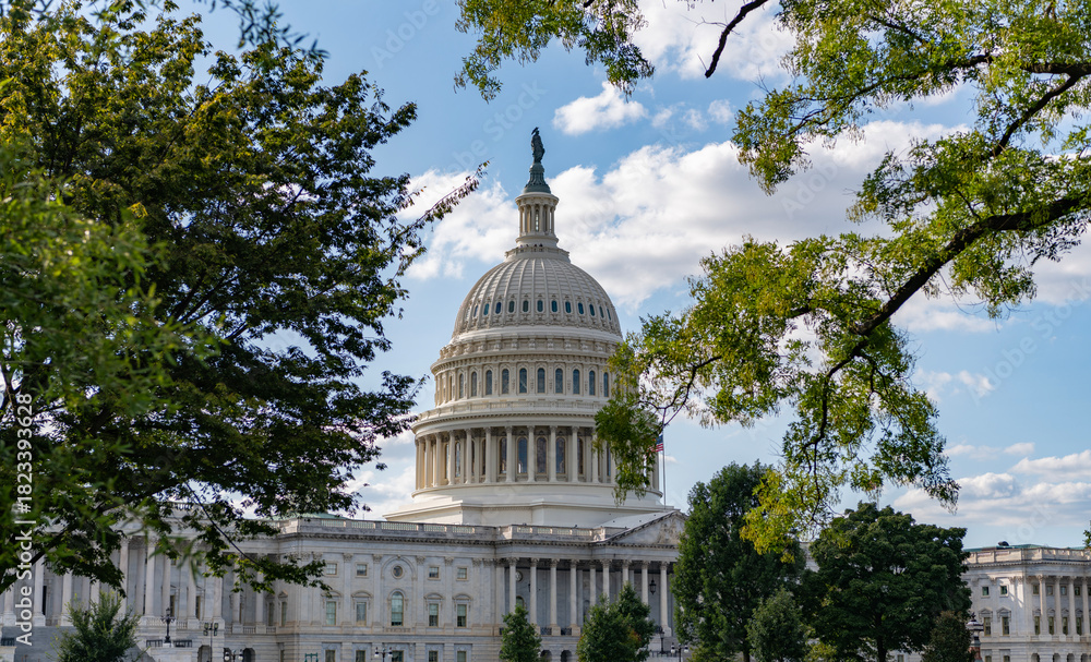 Naklejka premium Architecture view on dome with column. Famous Capitol in Washington DC. Washington DC landmark. Senate and House in Washington DC. Capitol dome. Historic Capitol by the national flag