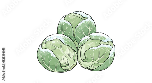 Illustration of three green cabbages with detailed leaf textures.