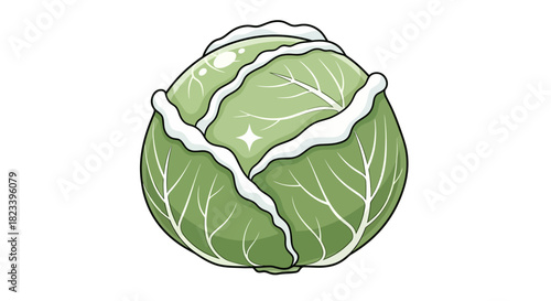 A vibrant, cartoon-style illustration of a fresh green cabbage head with detailed leaves, isolated on a clean white background.