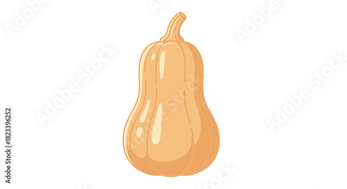 Illustration of a butternut squash with a smooth, light orange skin and a curved neck.