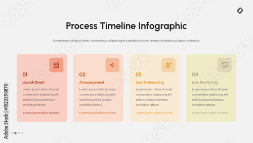 Process Timeline Infographic