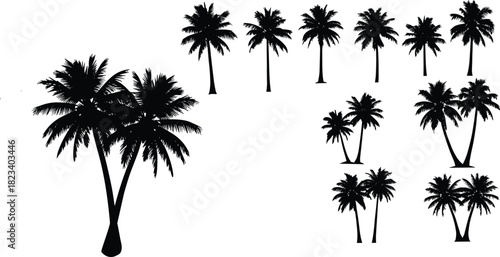 Palm tree silhouette set, tropical vector illustration, black tree shapes, beach landscape elements, summer nature design, exotic island graphic collection