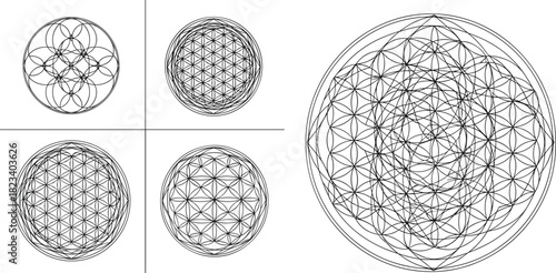Sacred geometry circle set, overlapping radial patterns, symmetrical mandala vector, spiritual design elements, black line art, meditative graphic collection