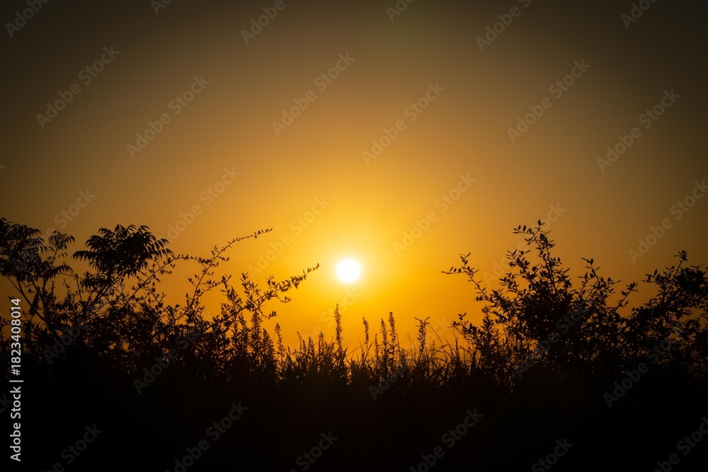 Obraz premium 揖斐長良川河口の夕景