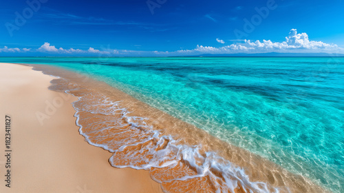 Caribbean Beach with Shallo...