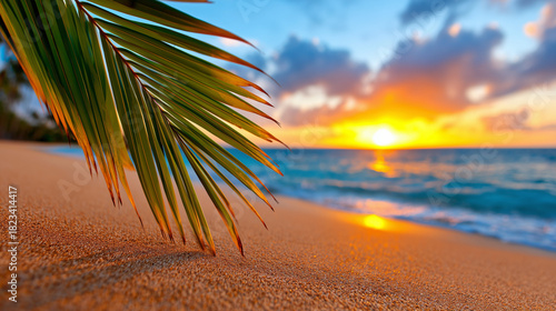 Golden Sunset Over a Tropic...