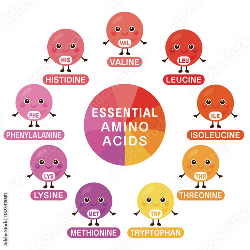 必須アミノ酸のキャラクターイラストセット　英語／Essential Amino Acids Character Illustration Set – English