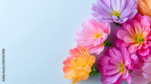 Light Pastel Background wit...