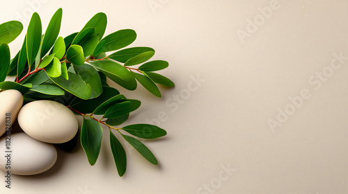 Soft Beige Spa Background w...