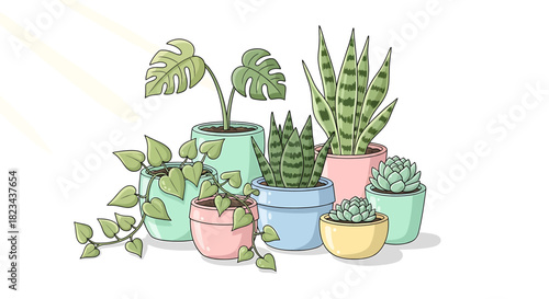 Hand drawn illustration of various houseplants in colorful pots.
