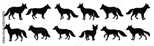 Set of fox black silhouette illustration