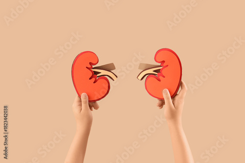 Little boy with paper kidne...