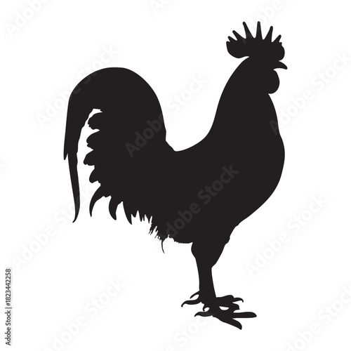 Proud rooster silhouette standing firmly on plain white isolated backdrop