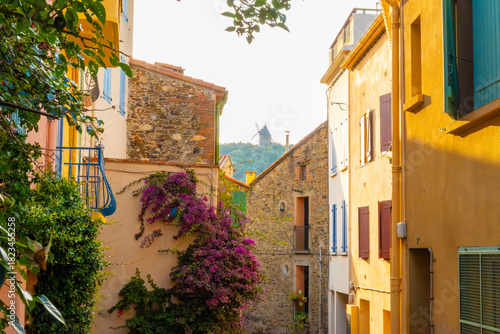 Fototapeta Naklejka Na Ścianę i Meble -  View of colourful Collioure, narrow streets and yellow, pink, orange houses, summer vacation destination town with historical buidings and beaches, Pyrenees-Orientales, France