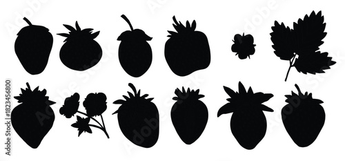 Vector set of strawberry clipart. Hand drawn berry icon. Fruit illustration. For print, web, design, decor, logo.