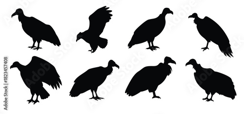 Vulture Silhouette Vector Set - Bird of Prey Clipart for Wildlife Designs