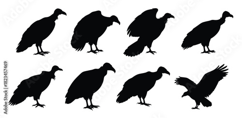  Vulture Silhouette Vector Set - Bird of Prey Clipart for Wildlife Designs
