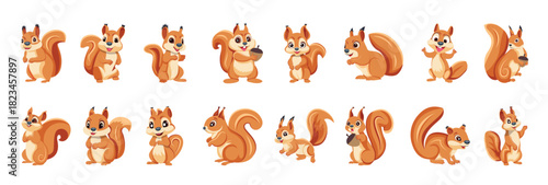 webcollection of cute squirrel flat icons 