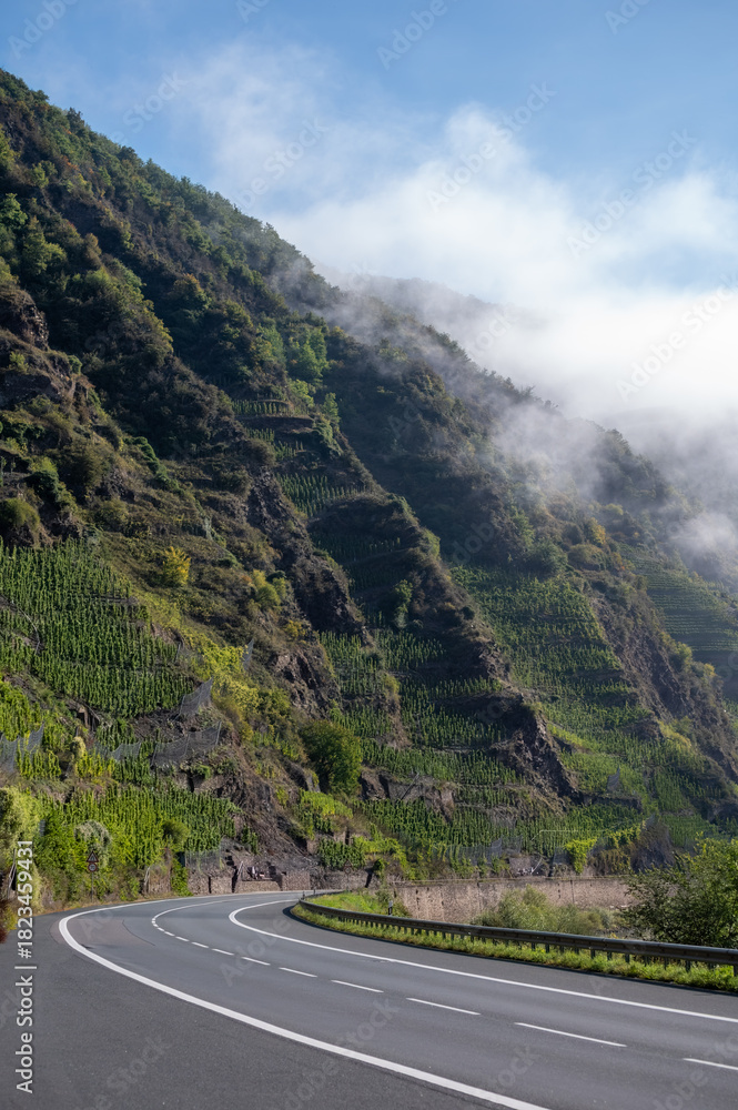 Fototapeta premium Driving car on road with forests in Calmont region with steepest vineyard in Europe on Moselle river valley, outdoor activities, hiking and klimbing in Germany, travel destination near Bremm