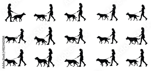Woman walking a big naughty dog vector silhouette