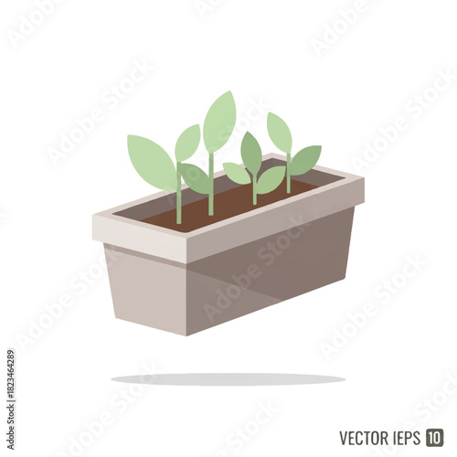 Rectangular planter with four young green plants growing in soil