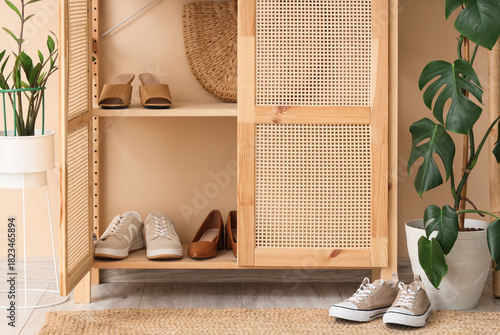 Closet with women's shoes i...