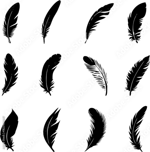 Collection of intricately detailed feather illustrations enhancing creative projects