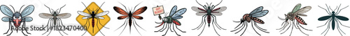 Mosquito Vector Illustration Set: Diverse Collection of Realistic, Stylized, and Cartoon Blood Sucking Insect Designs