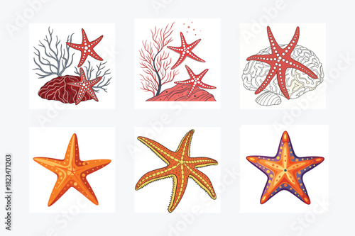 set of sea star
