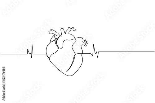 Human heart with ecg heartbeat line, continuous simple drawing