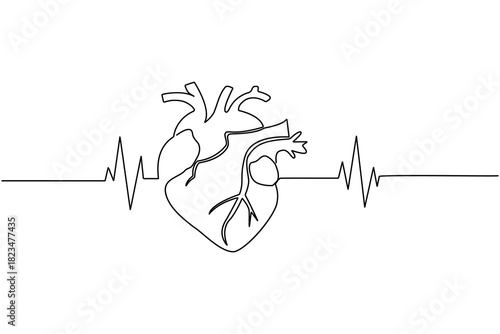 Continuous line drawing of human heart and ecg heartbeat pulse.