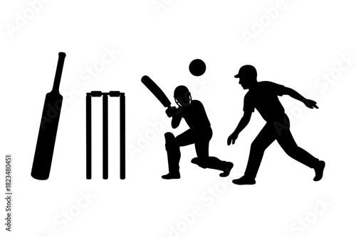 Silhouette of cricket players battling for the wicket.