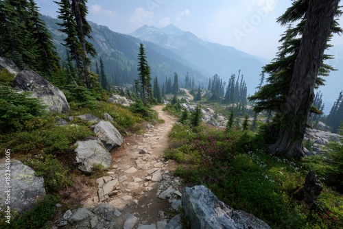 Explore the scenic trails of Whistler Mountain Bike Park in British Columbia, Canada with stunning mountain views and natural beauty