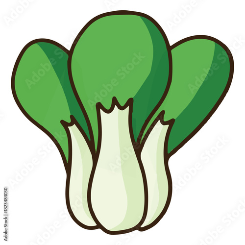 colored pak choy vegetable icon