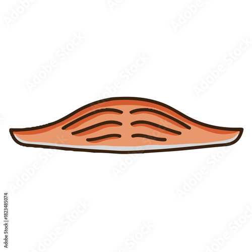 colored icon of a piece of salmon