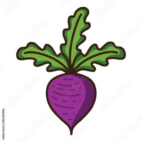 Colored Beet Icon