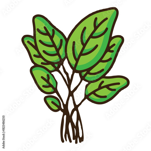 spinach leaf colored icon