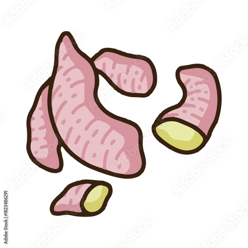 galangal colored icon